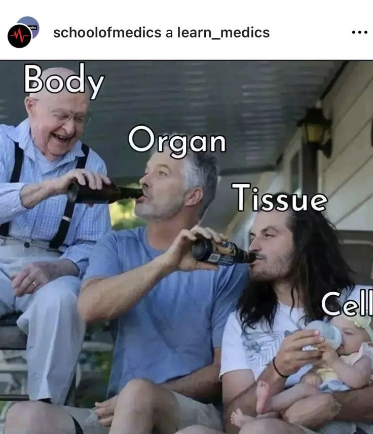 From Body To Cell: The Drunk Edition