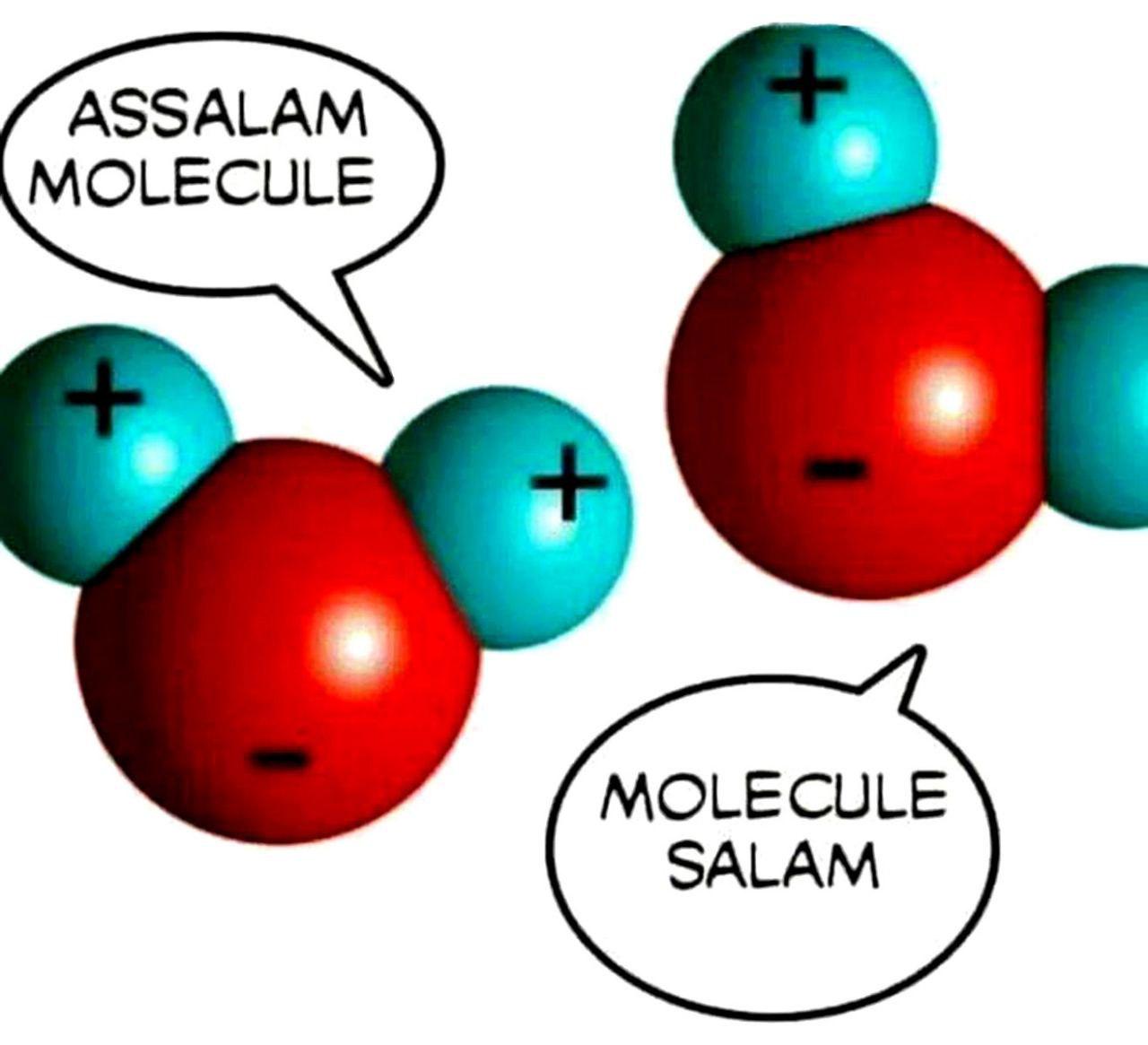 Molecule Etiquette 101