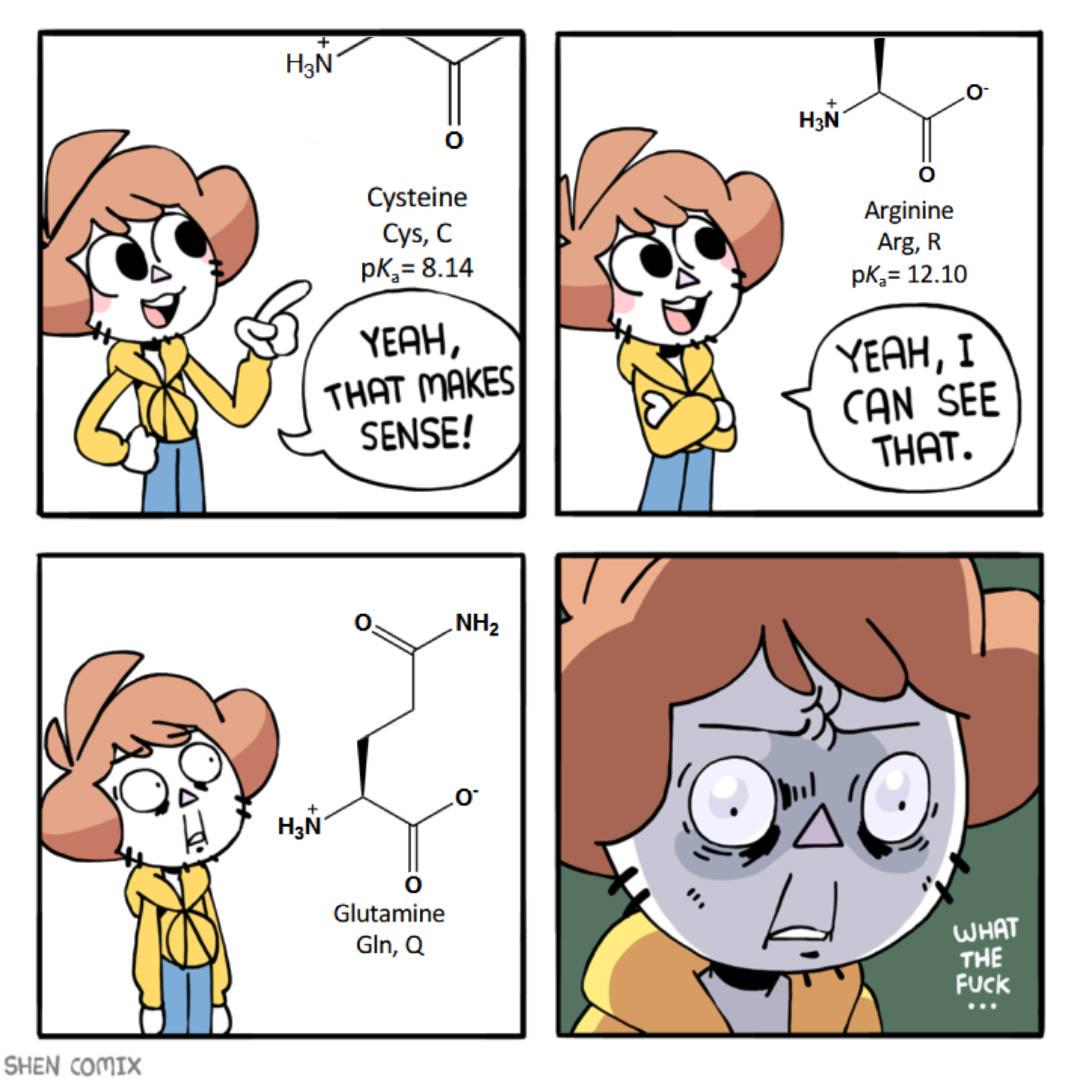 Learning The Amino Acids For The First Time