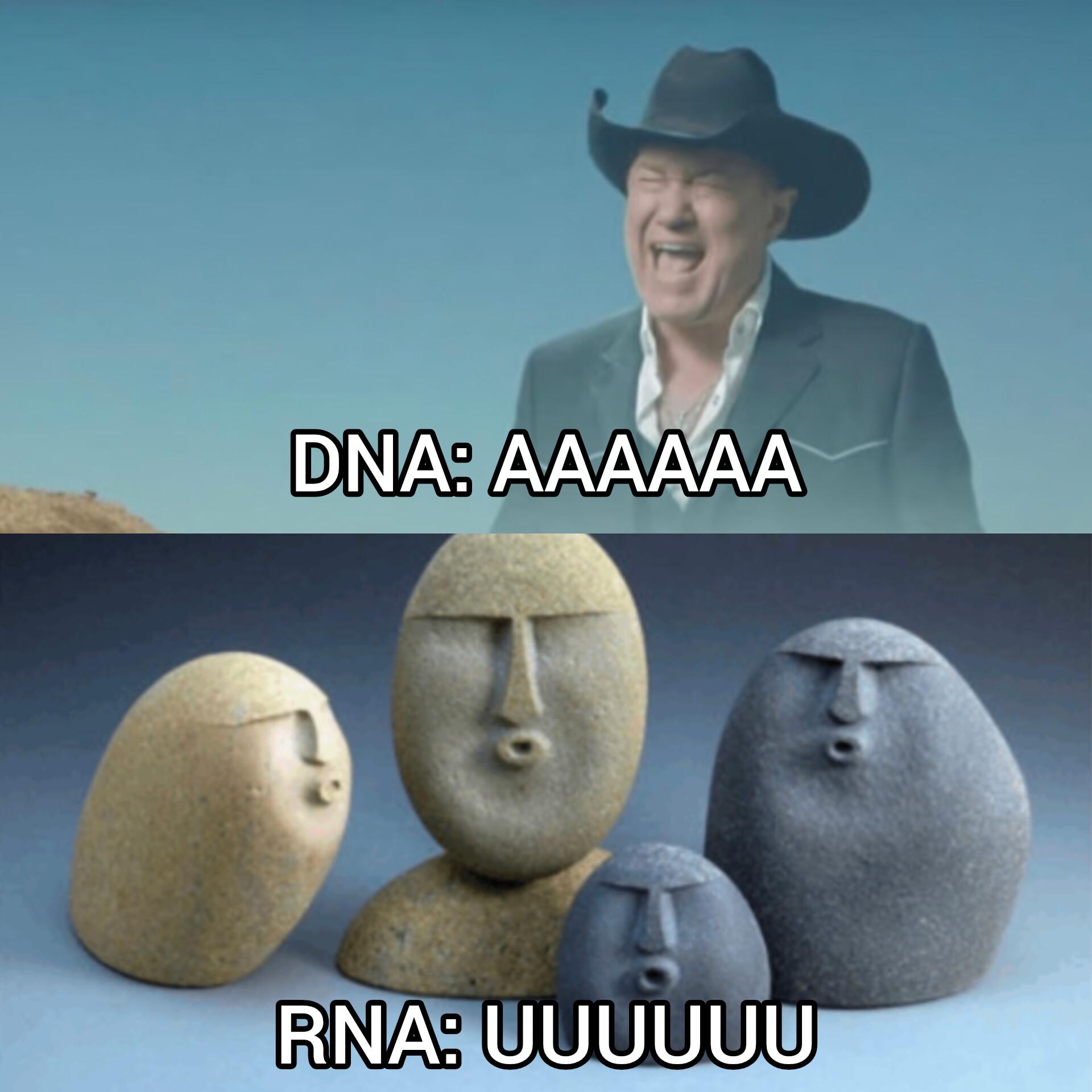 The Molecular Personality Types