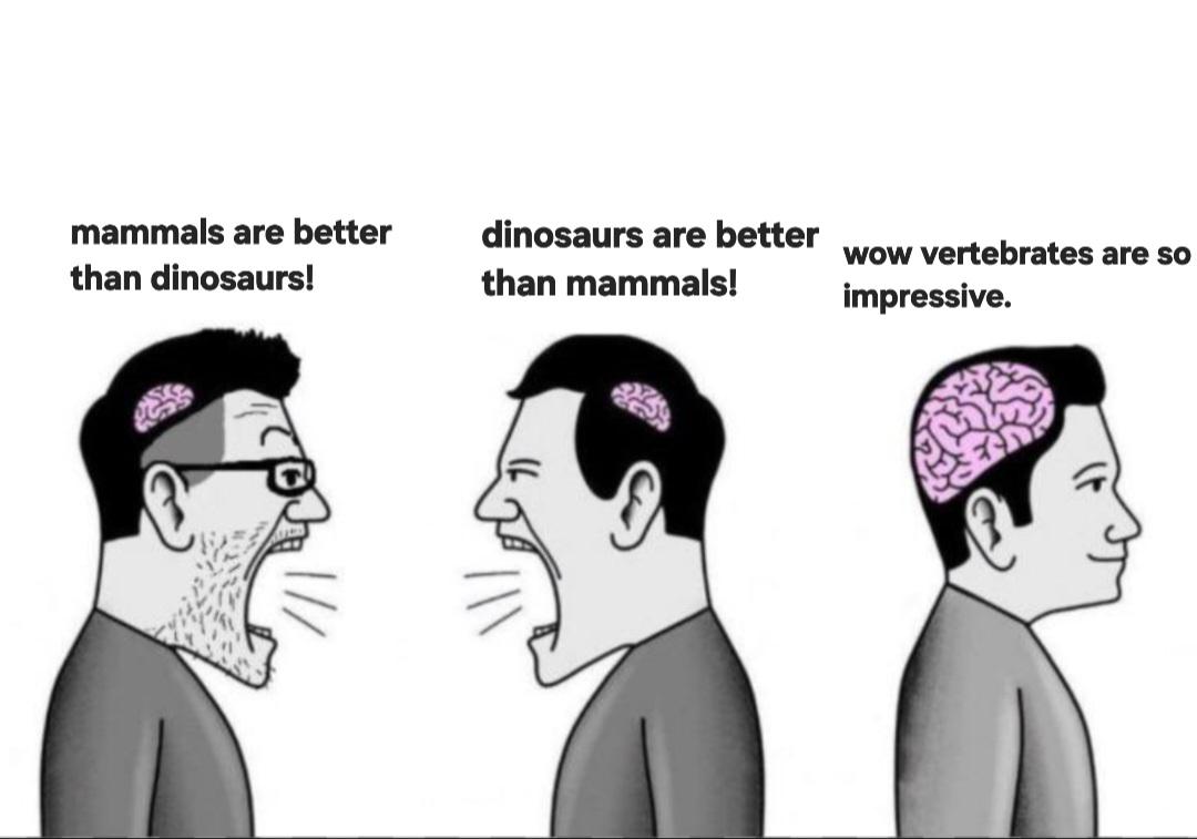 Vertebrates Are Pretty Cool Animals