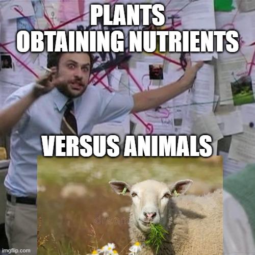 Plants Versus Animals: The Ultimate Nutrient Heist