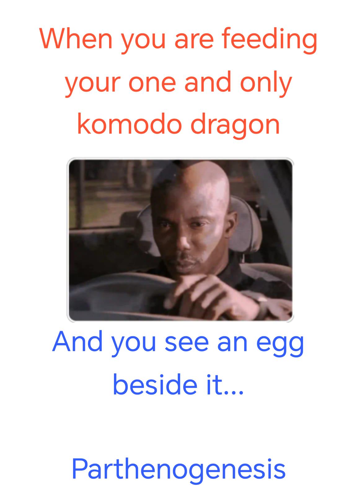 Parthenogenesis In Komodo Dragons