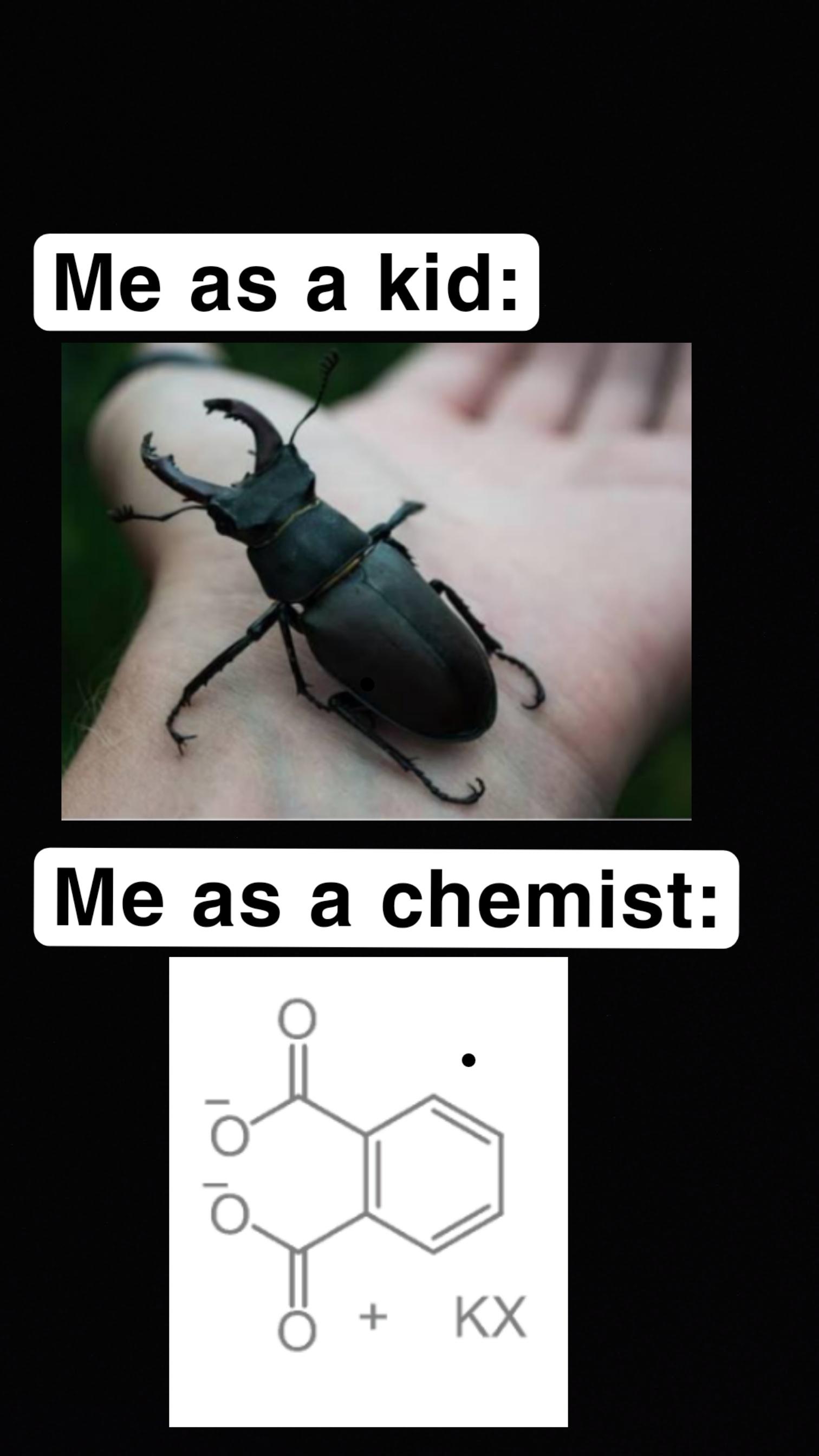 From Bug Hunter To Bond Maker