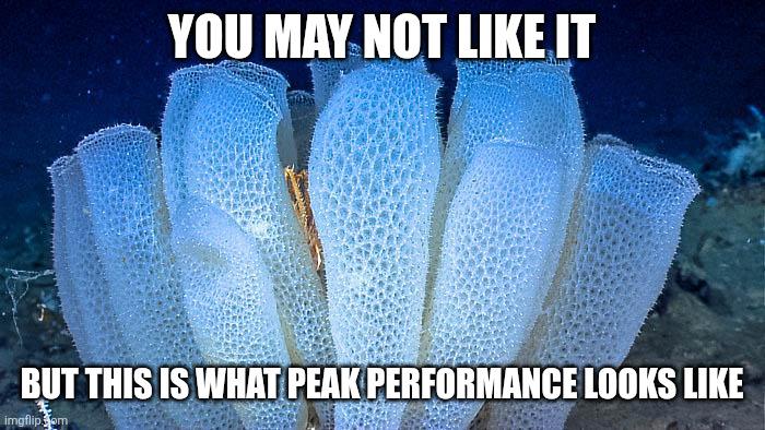 Peak Performance In Glass Form