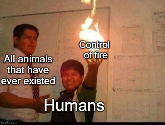 Everything Changed When The Fire Nation Attacked!