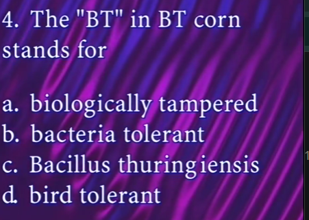 The BT Corn Identity Crisis