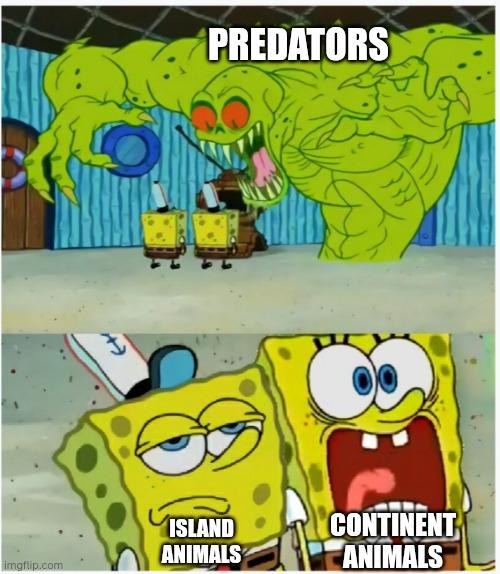 Island Tameness: Evolution's Deadliest Chill Pill