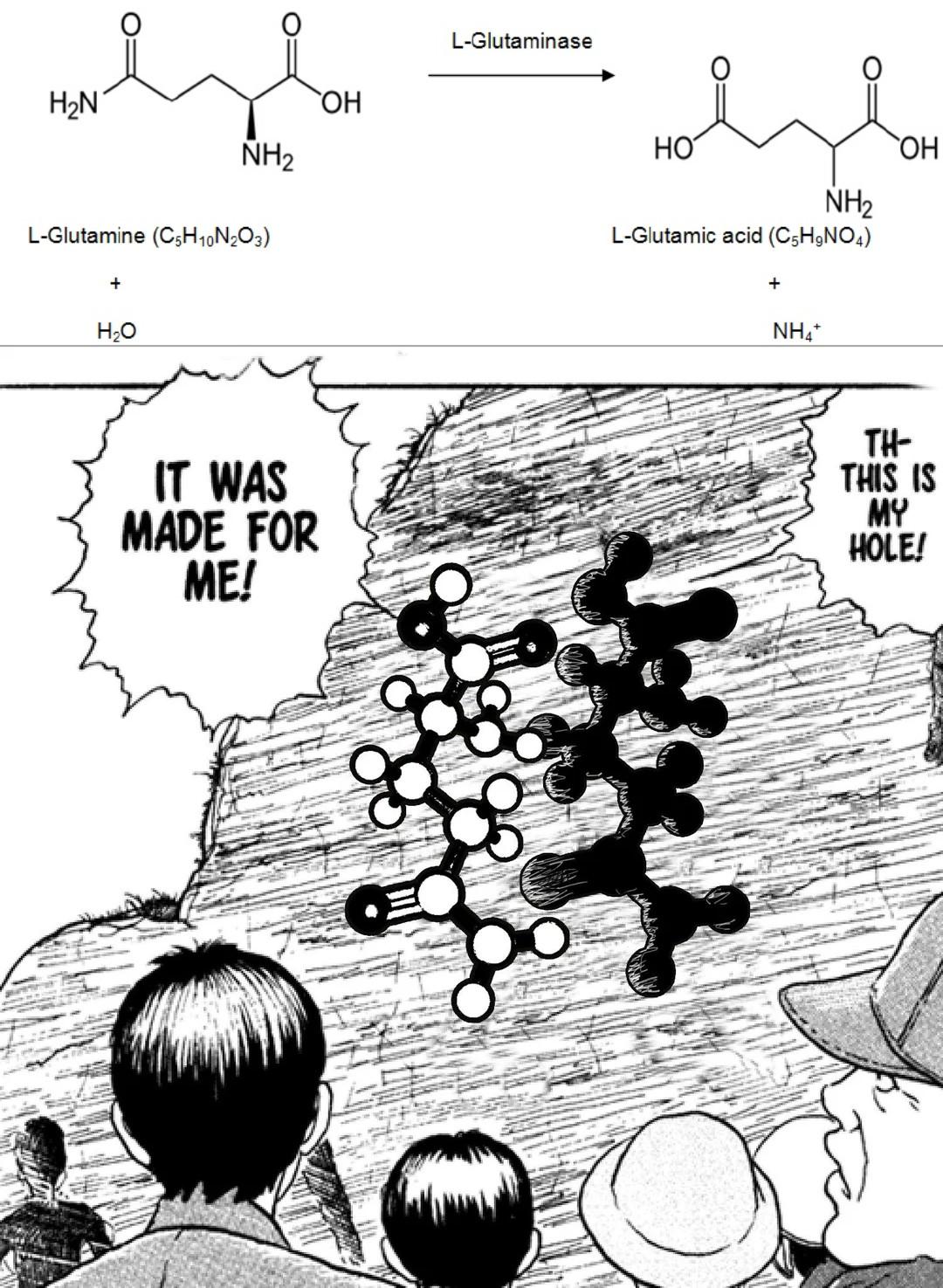 Glutamine Seeing The Humble Nucleophilic Cysteine Residue