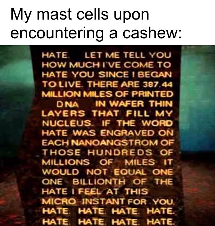 My Mast Cells: The Dramatic Defenders