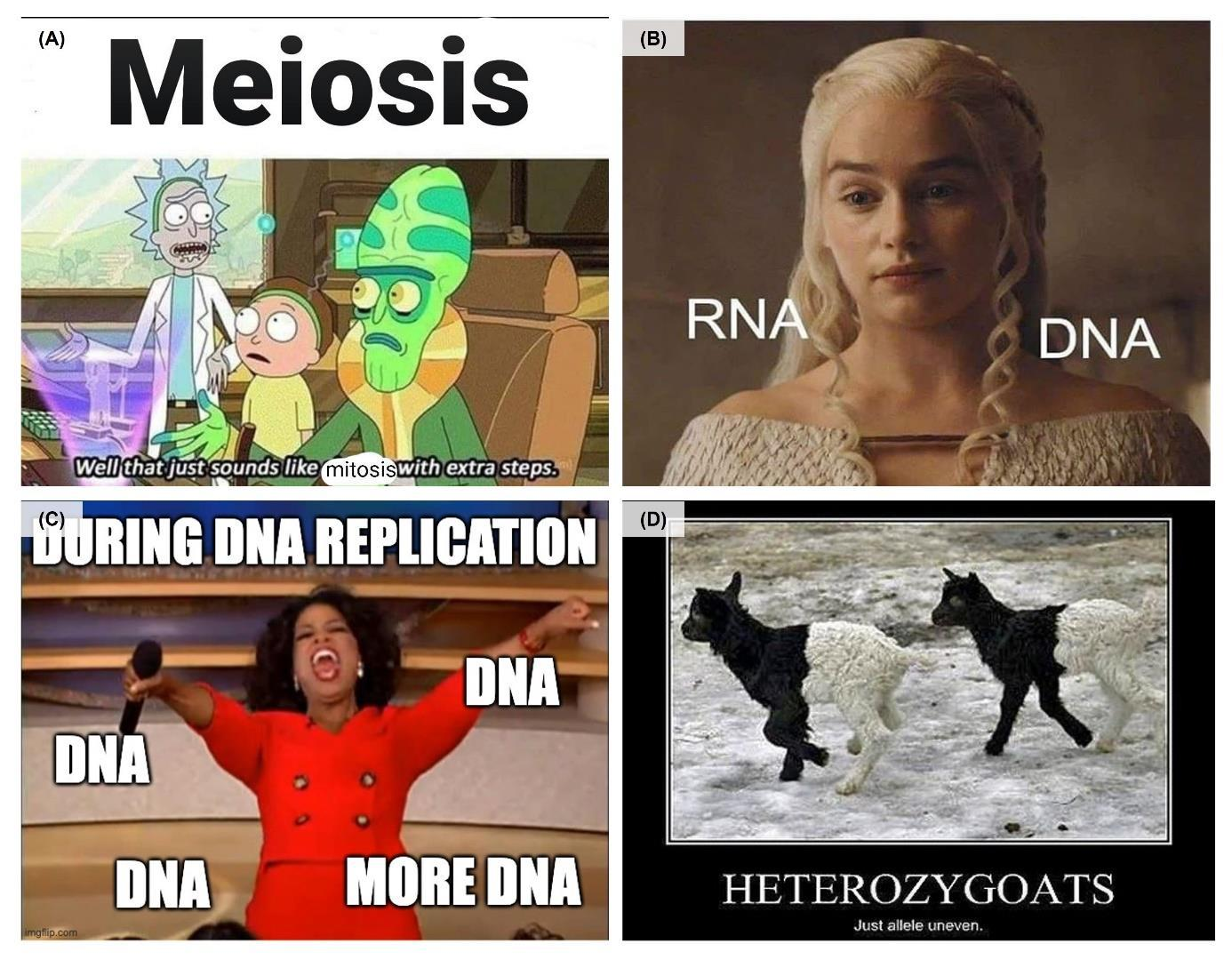 The Genetic Comedy Club: Biology Memes That Replicate Joy