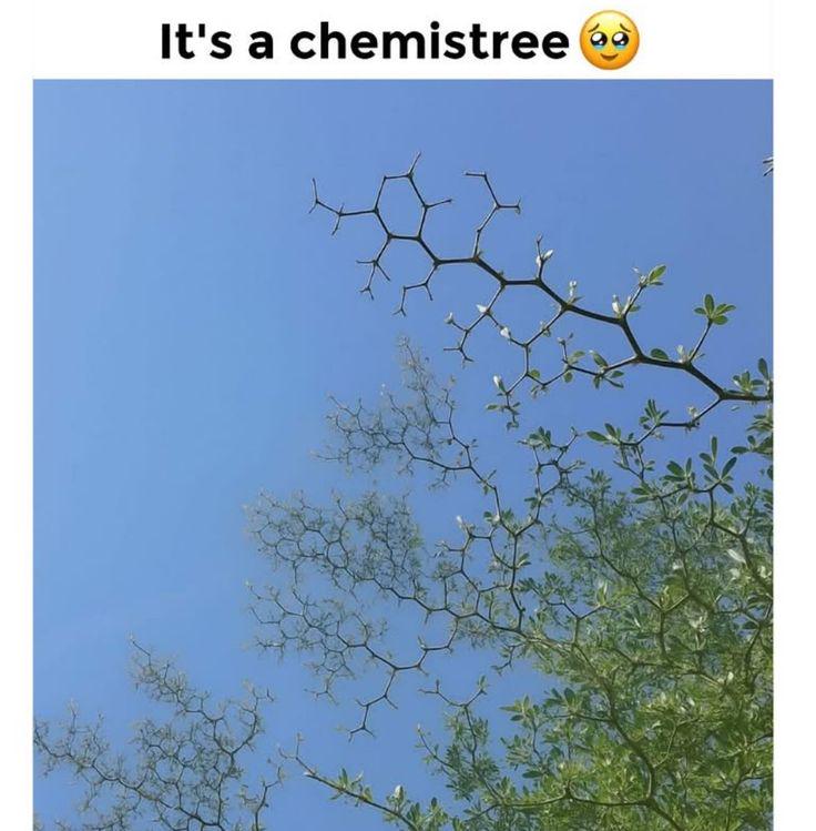 It's A Chemistree