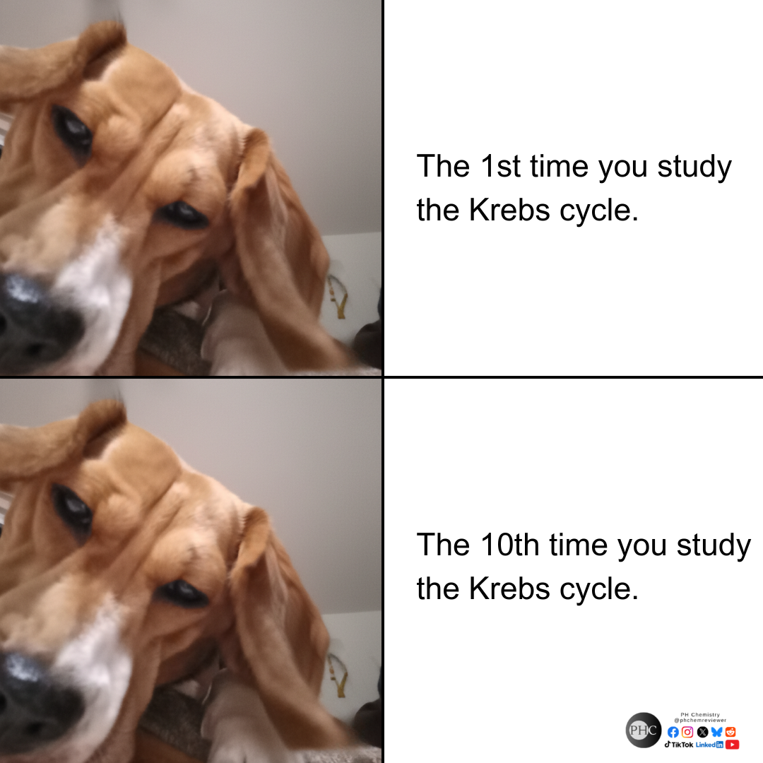 The Krebs Cycle Memory Crisis