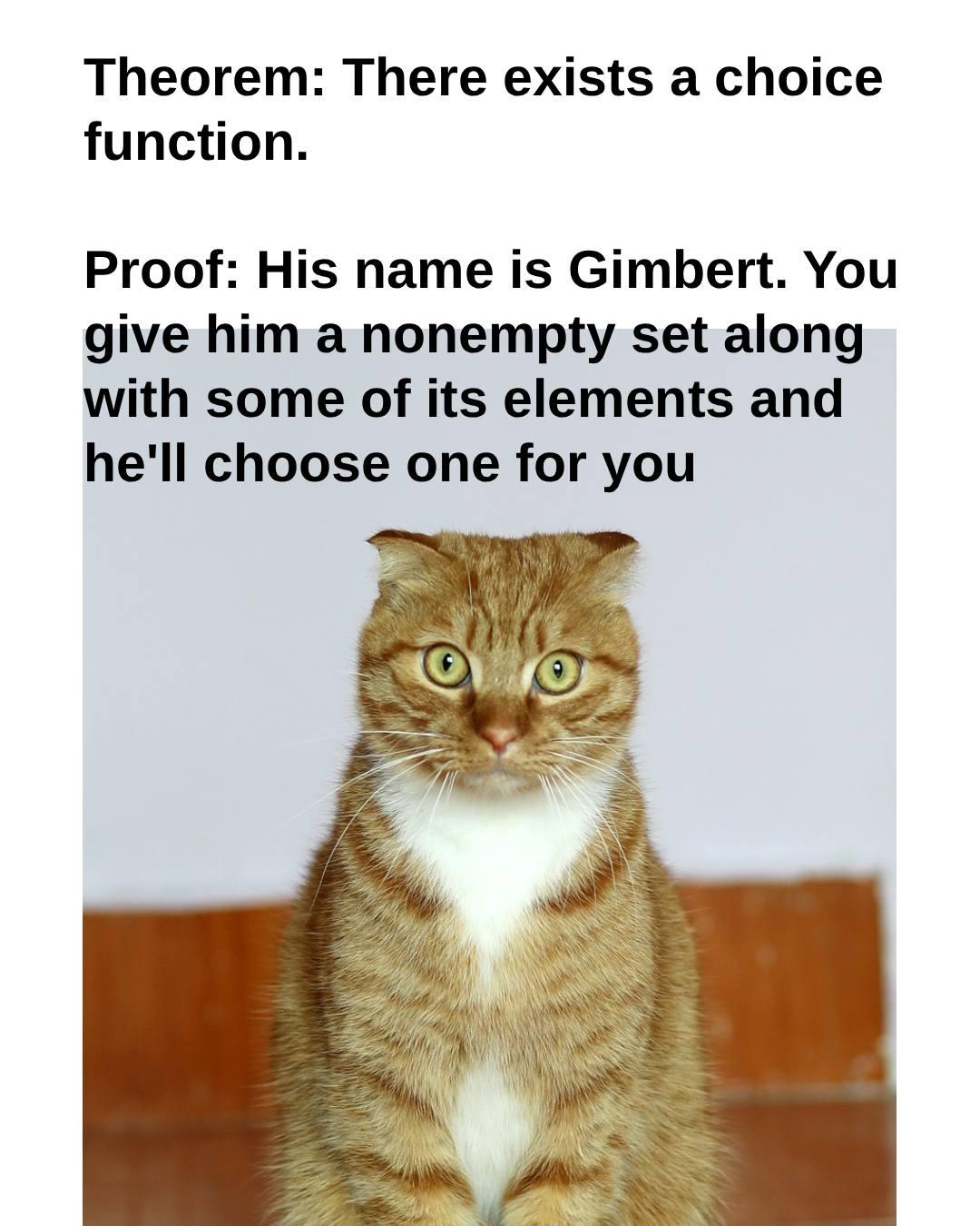 I Just Proved The Axiom Of Choice. Your Welcome