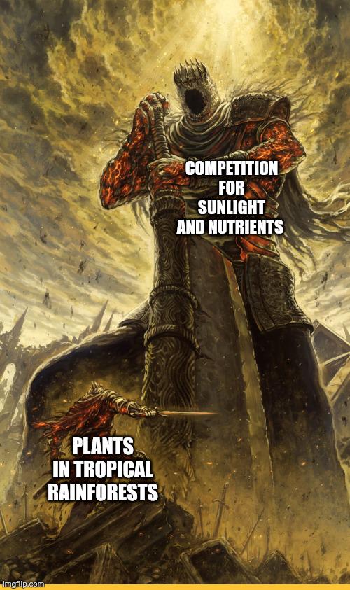 Botanical Battle Royale