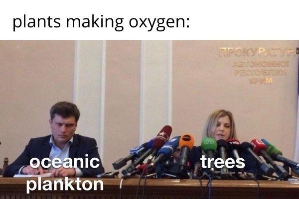 Come On, Give The Oceanic Plankton Some Recognition