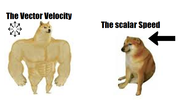 Vector Velocity vs Scalar Speed: The Doge Edition
