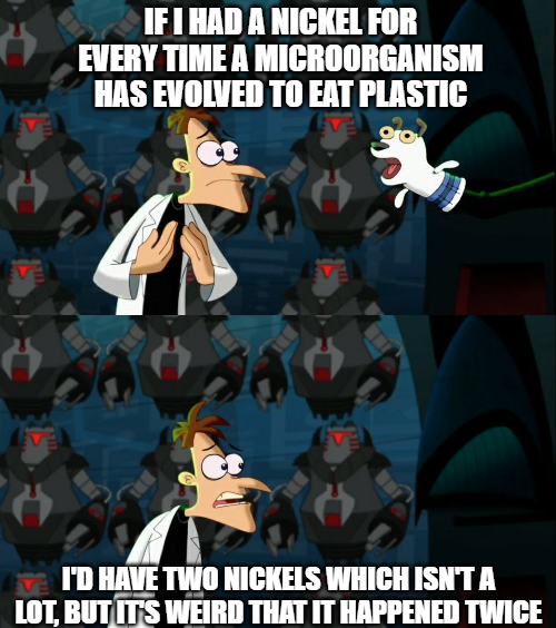 Plastic-Eating Microbes: Nature's Unexpected Cleanup Crew