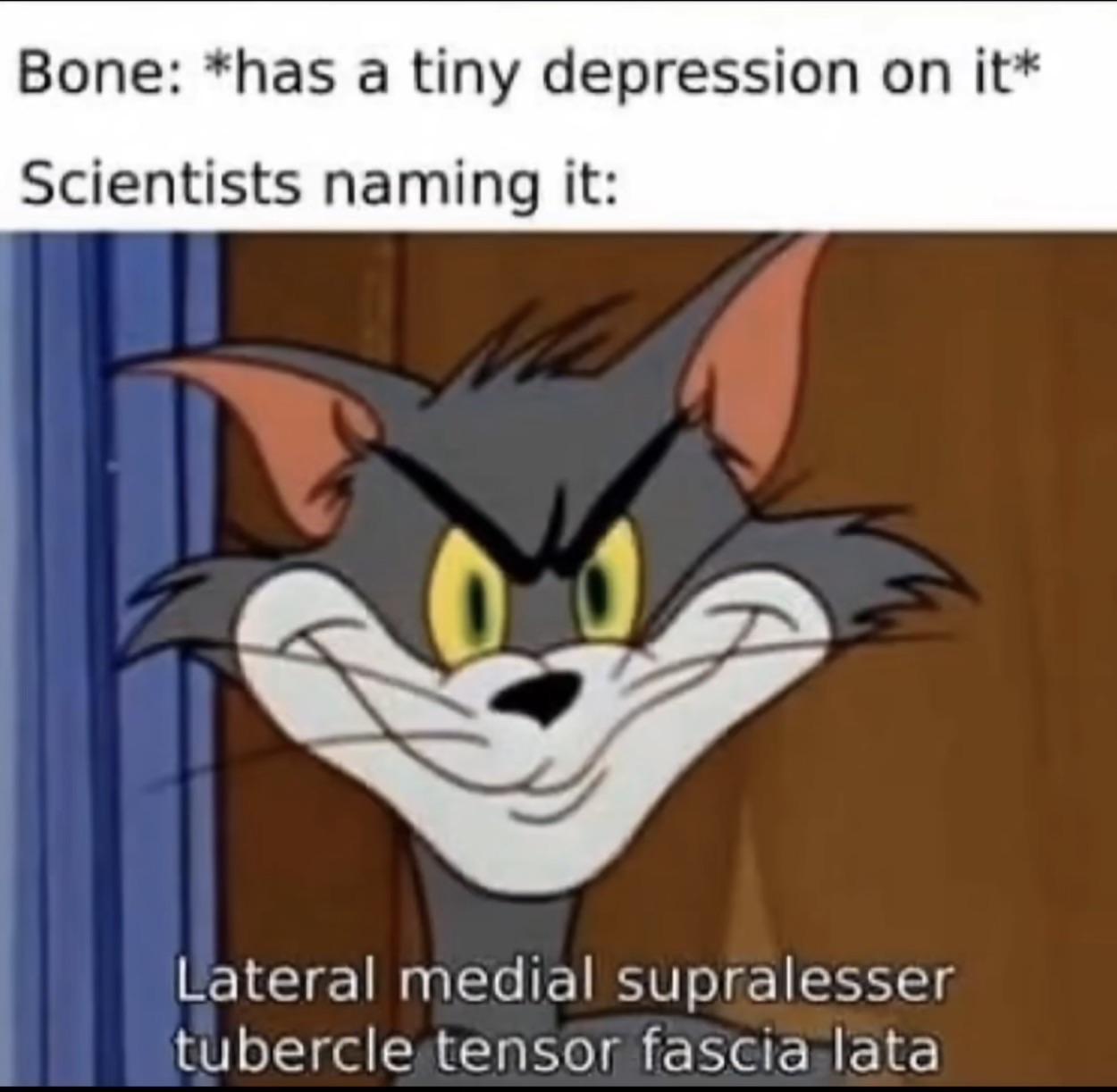 The Unnecessarily Complicated Naming Convention