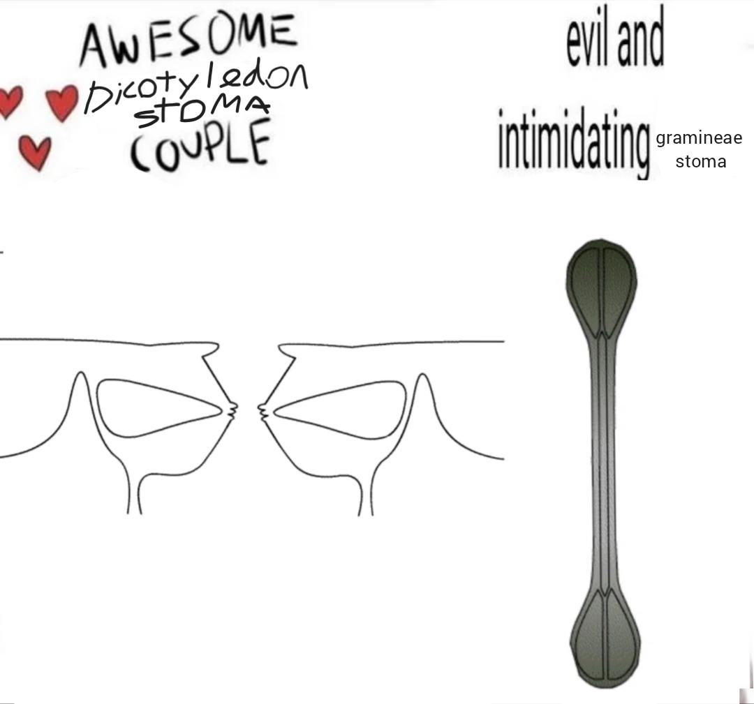 Plant Cells With Personality Disorders