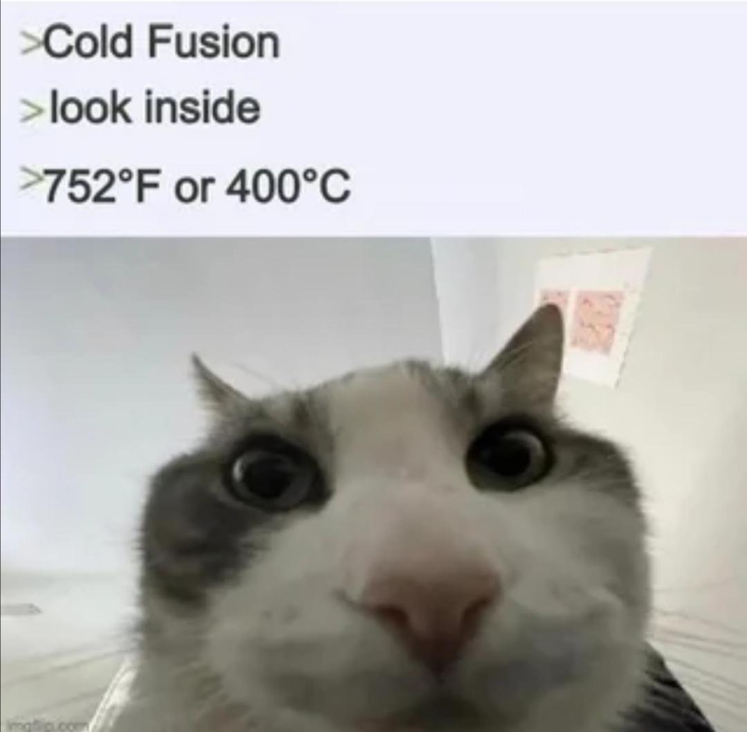 Cold Fusion? The Cat's Not Buying It