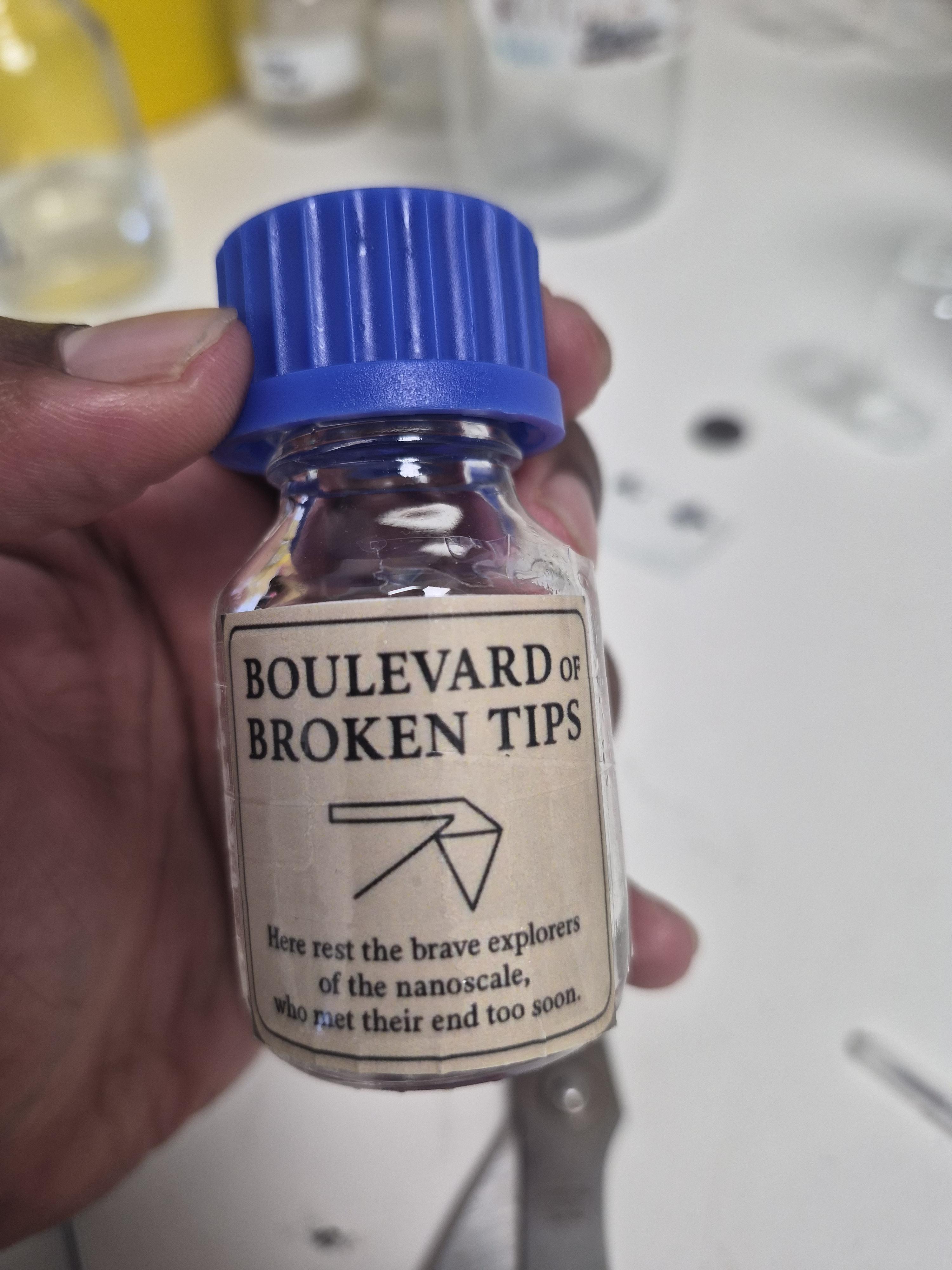 Boulevard Of Broken Tips