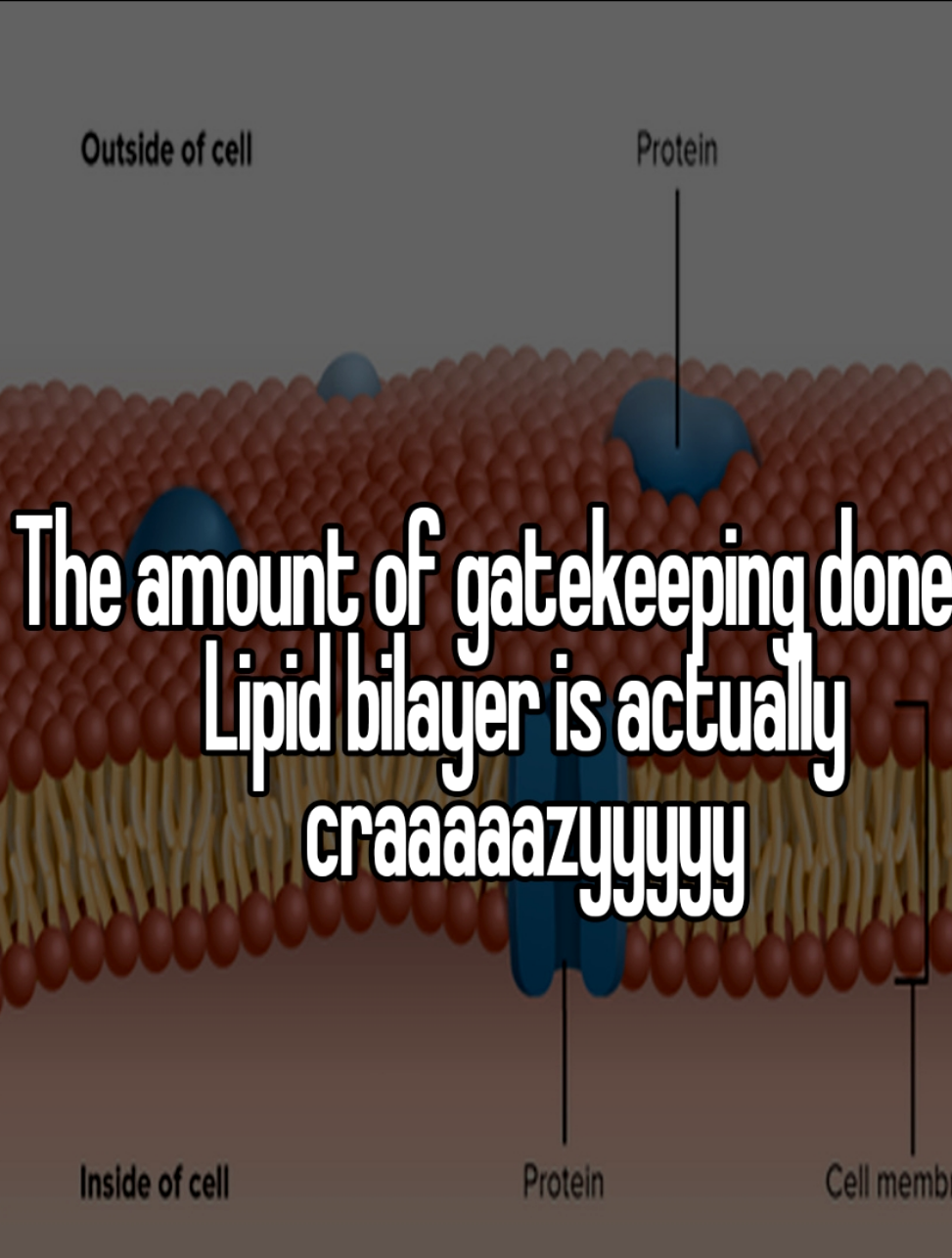 The Ultimate Cellular Bouncer System