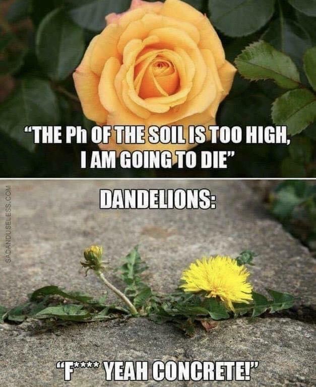 Botanical Class Warfare