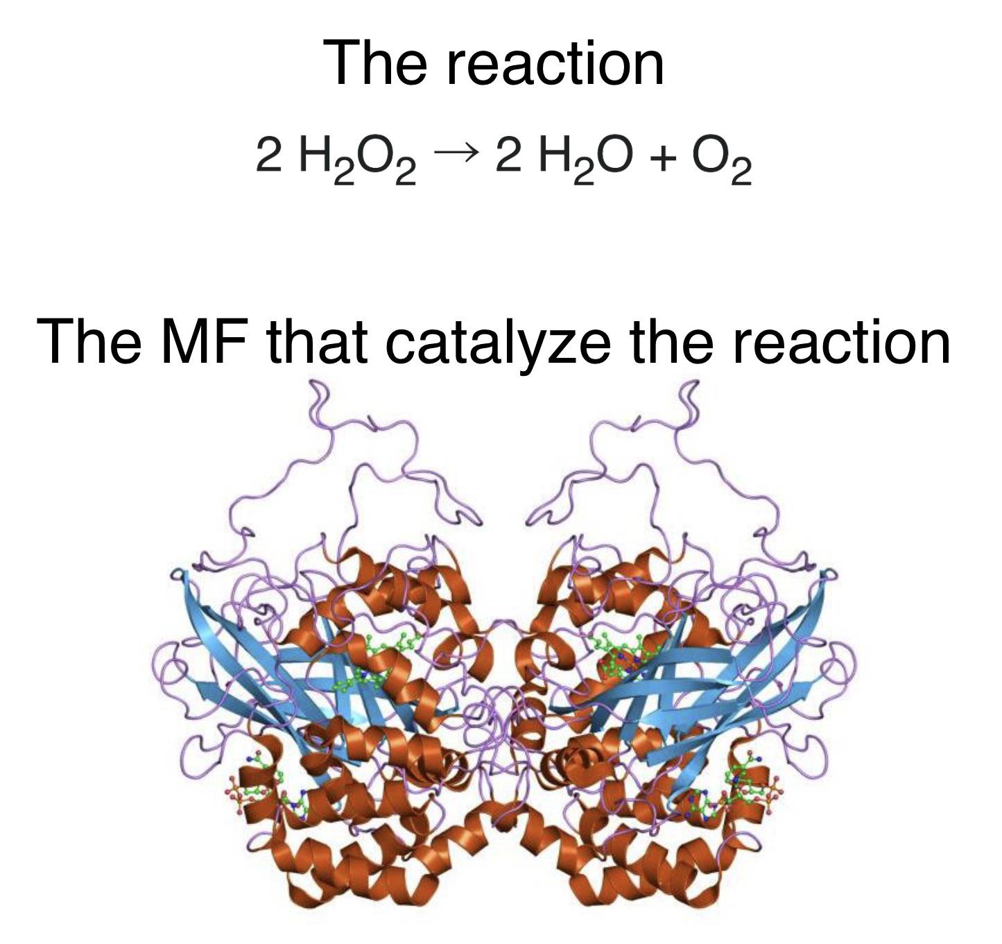 Complex For Simple: Nature's Overkill Engineering