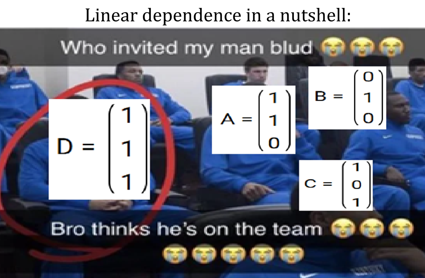 The Uninvited Vector In The Equation