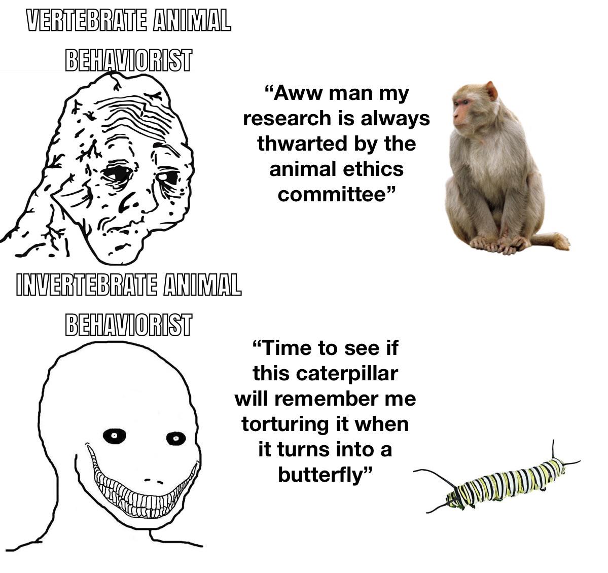 The Invertebrate Ethics Loophole