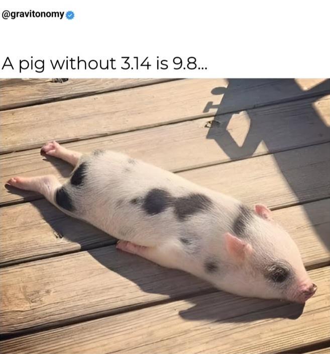 When Math And Physics Have A Piglet Together