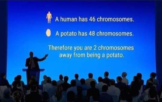 Genetics Really Said Quantity ≠ Complexity