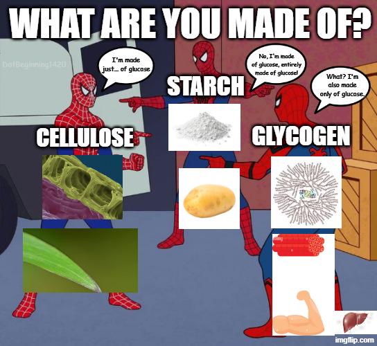 What Are You Made Of?