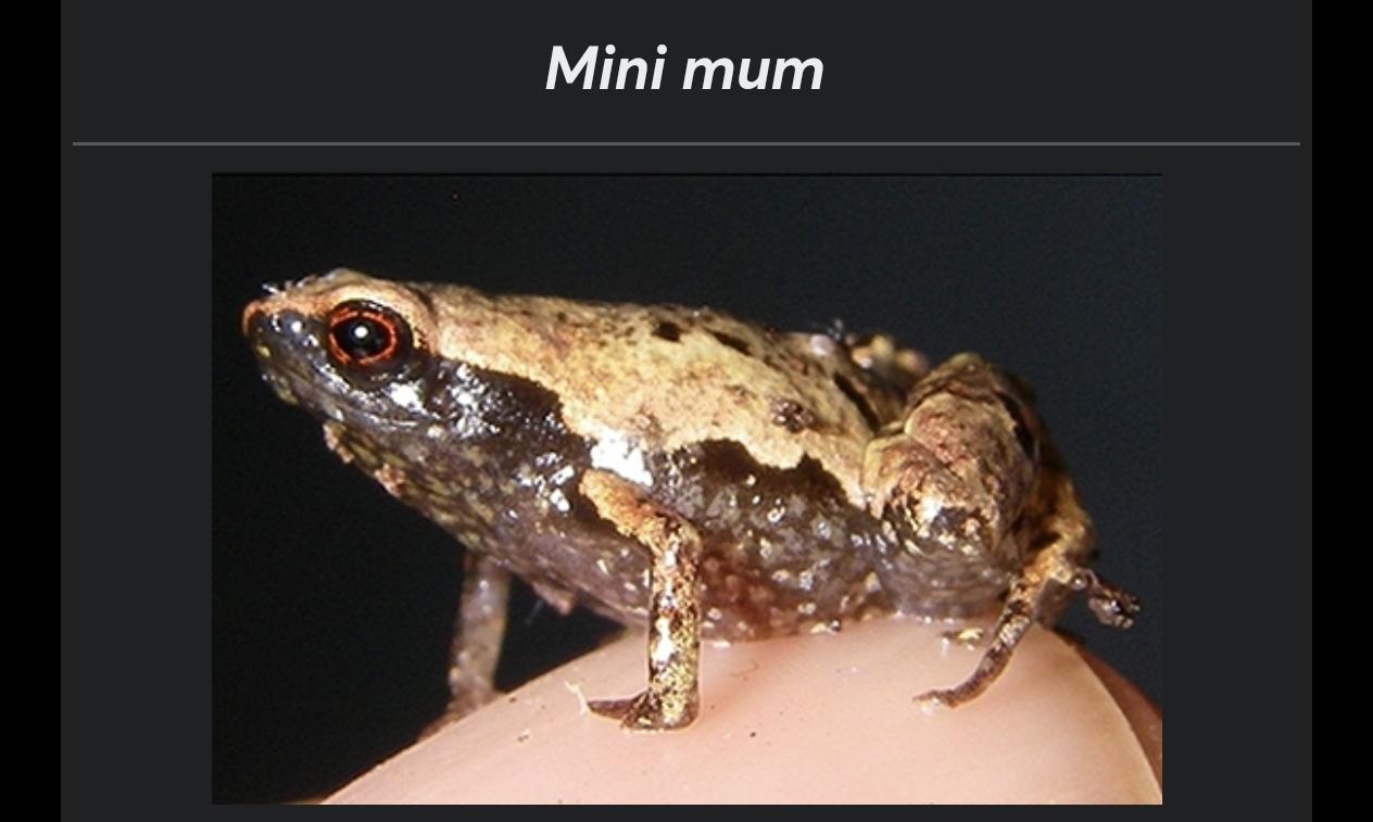 The Smallest Vertebrate With The Biggest Name Energy