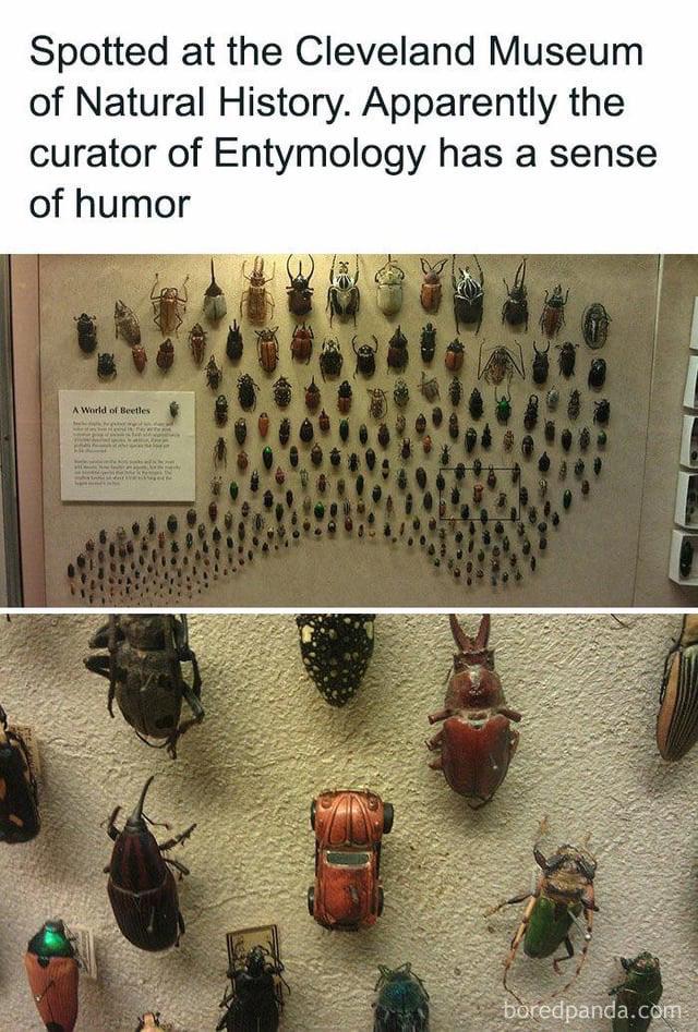 The Taxonomic Impostor