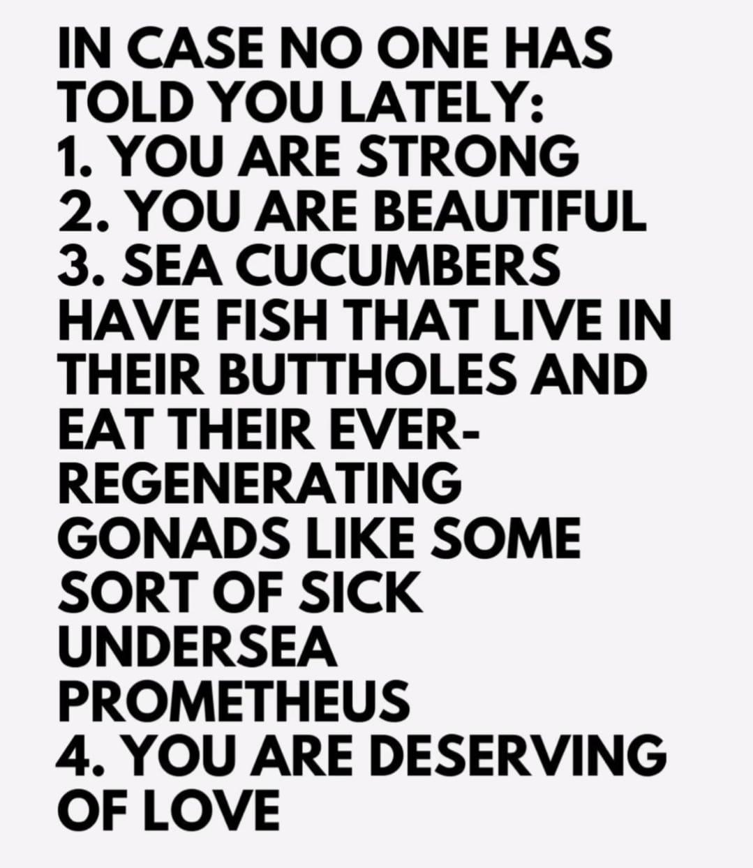 Underwater Roommate Agreements Gone Wrong