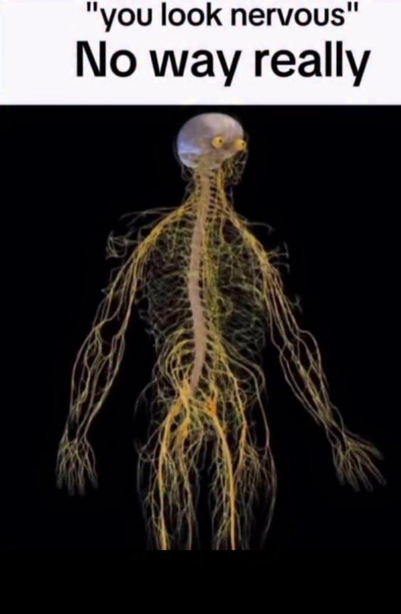 Literally Just A Bundle Of Nerves