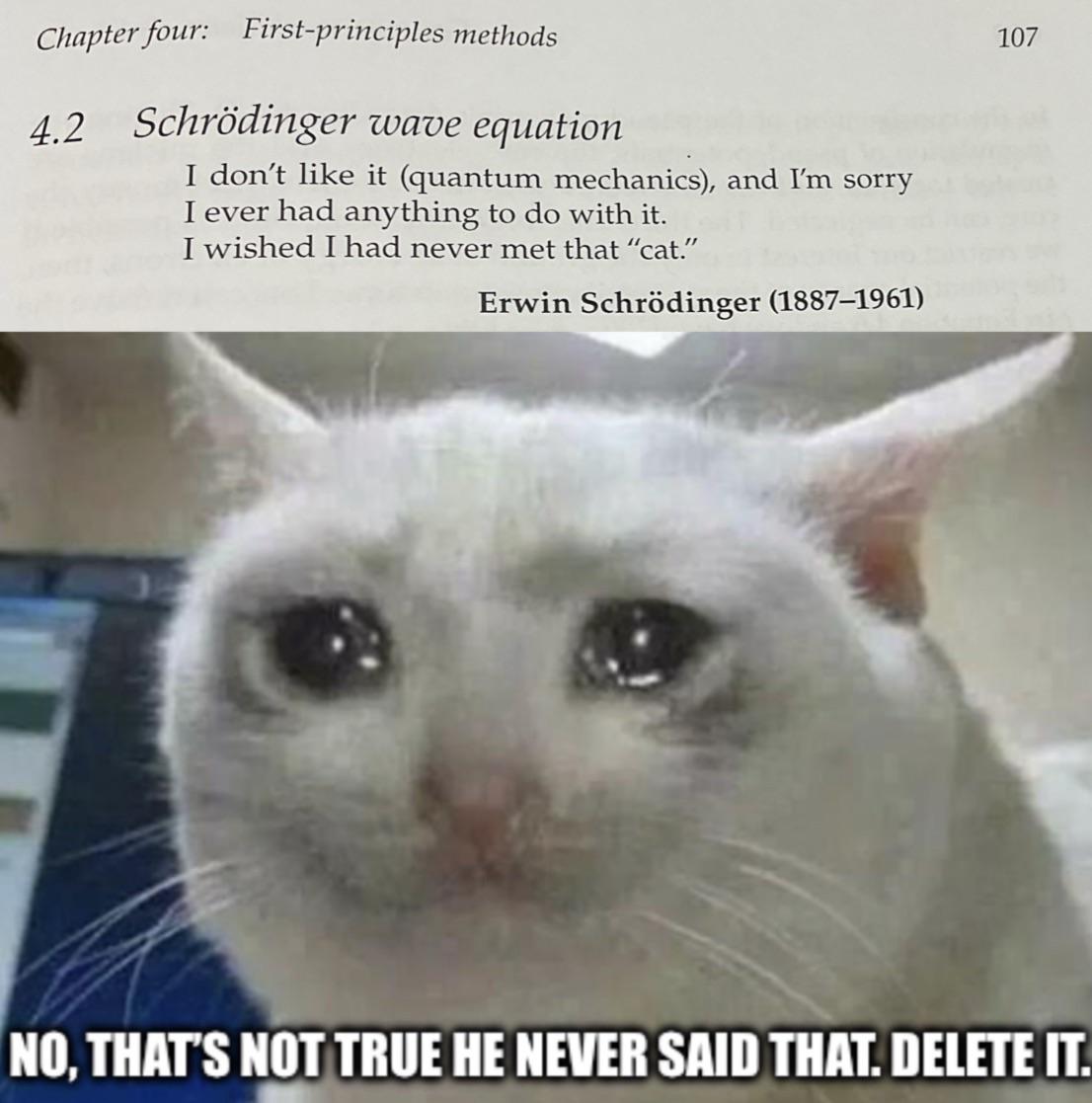 The Cat Strikes Back: Quantum Revenge