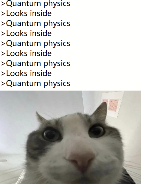 The Quantum Recursion Paradox