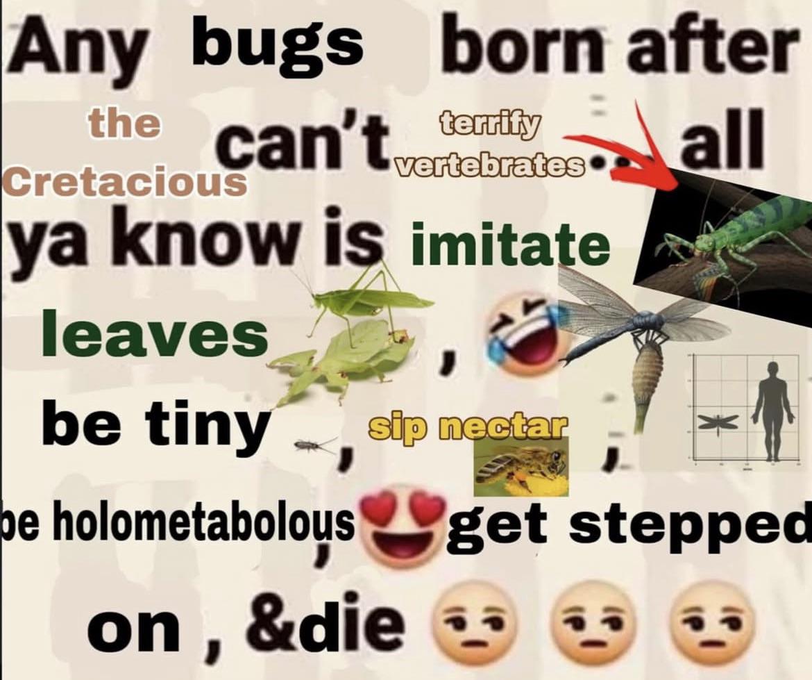 Don't Know Much About Bugs, Is This True?