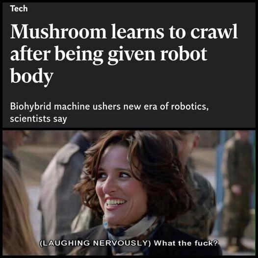 I For One Welcome Our New Mushroom Overlord, I Mean They Can't Do A Worse Job Than The Current Super-Rich Narcissists?