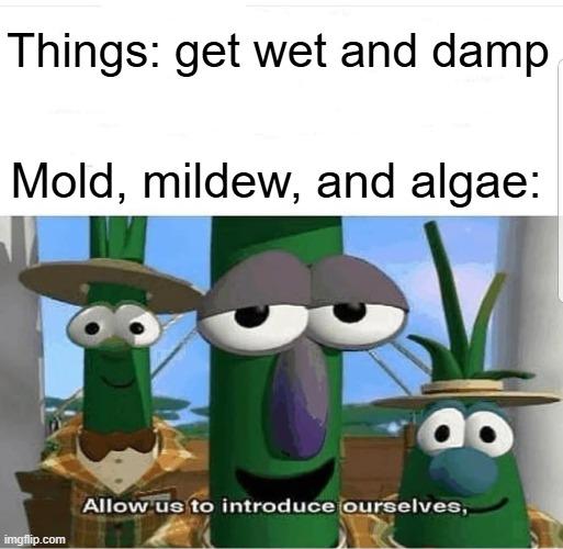 Stay Hydrated!