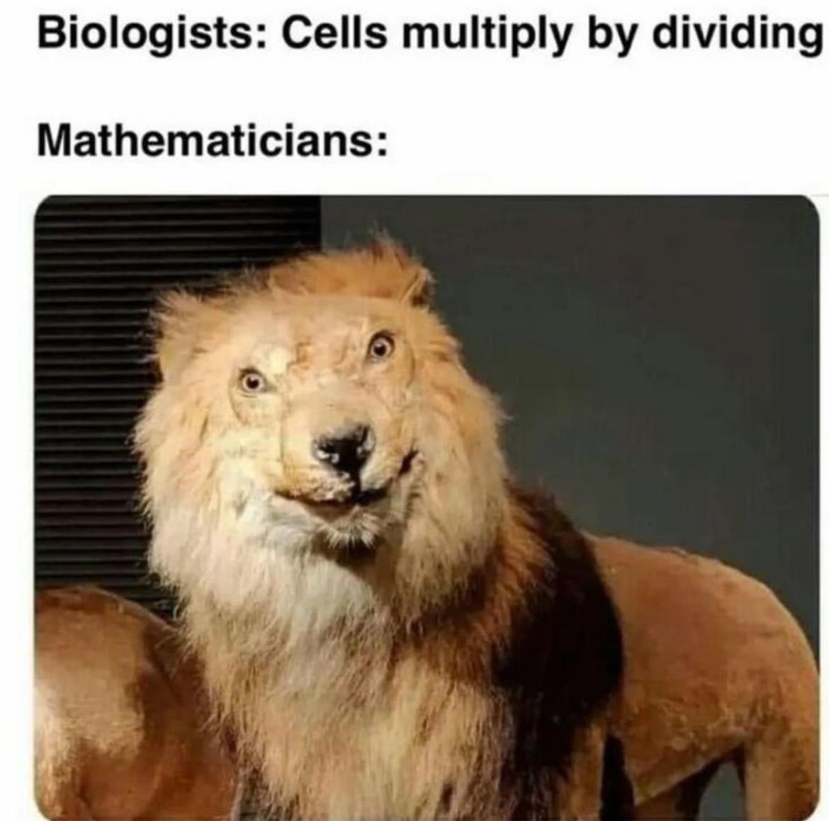 Yes?