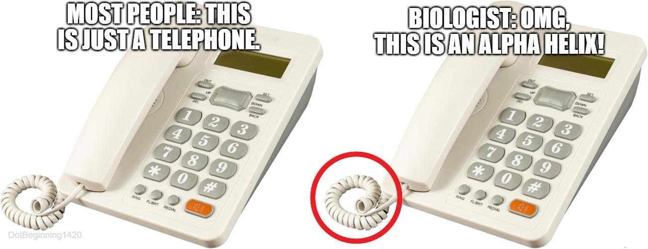 Whenever You See This Kind Of A Telephone
