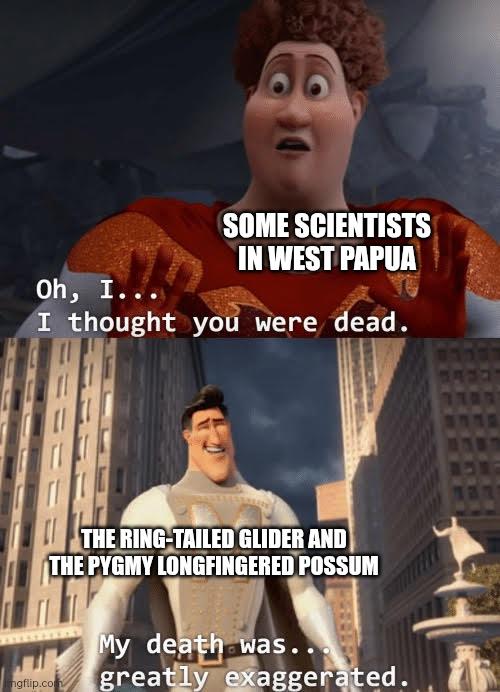 Not Extinct All Along