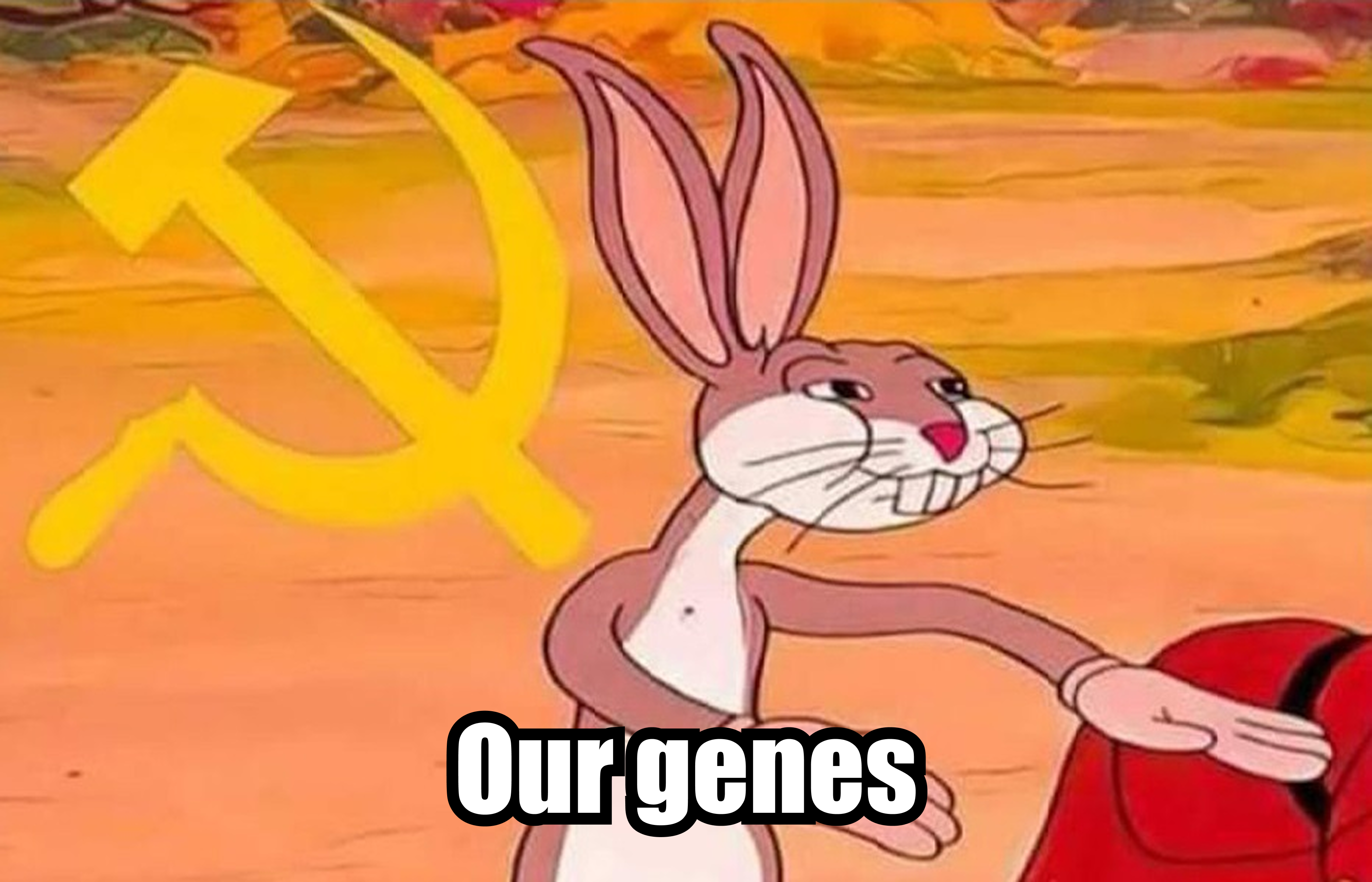 Our Genes