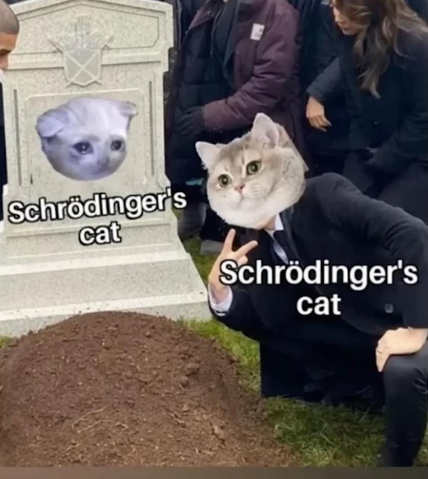 Schrödinger's Cat Be Like
