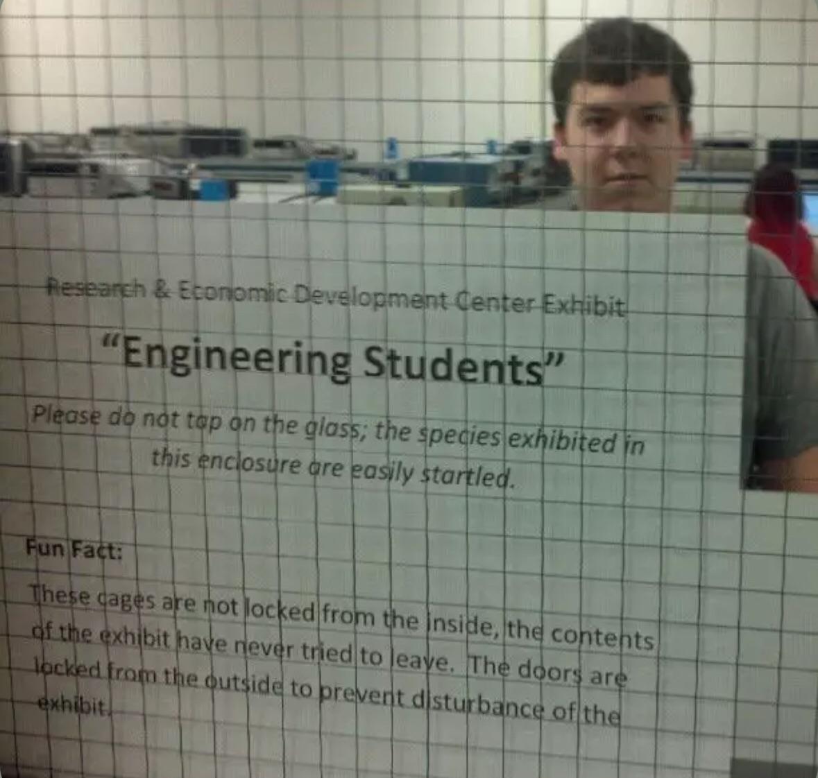 Engineering Students: The Zoo Exhibit