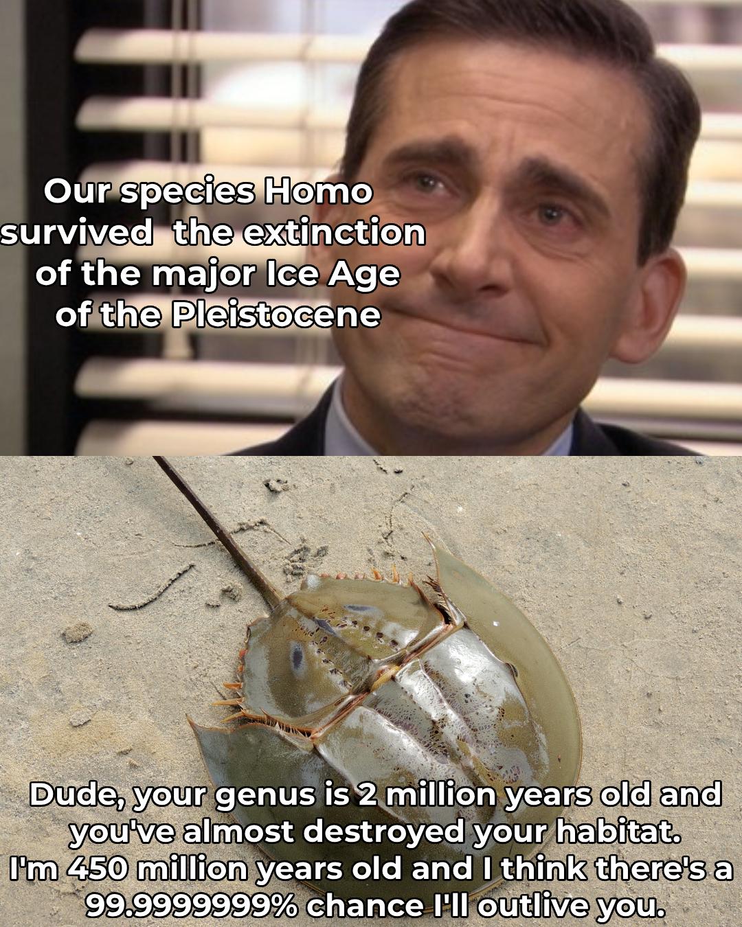 Those Damn Horseshoe Crabs Are Just Using Cheats, One Species Can'T Live 450 Million Years, Exist Before The Dinosaurs, Survive The 5 Biggest Extinctions And Still Dominate Their Niche.